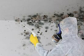 Forensic Mold Investigation in Fowler, CA